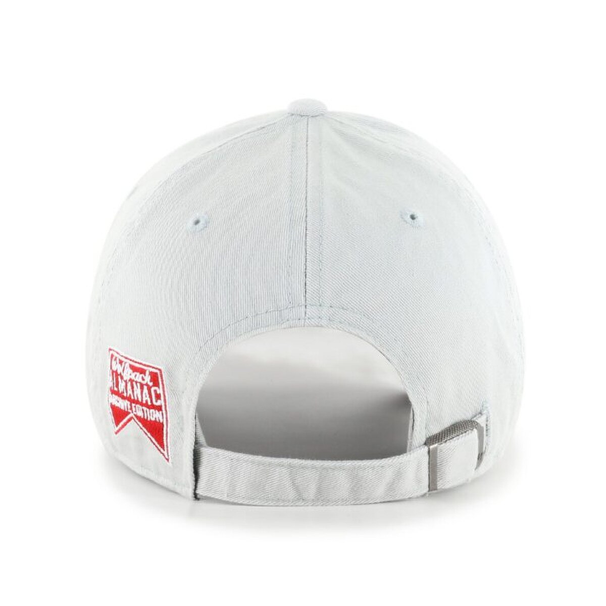 Light Grey Adjustable Hat - Vault W